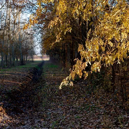 Belfiore Szálloda Ostellato