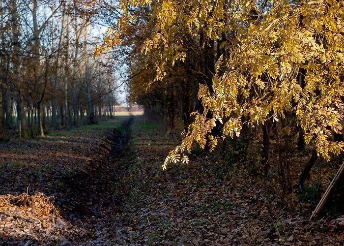 Belfiore Hotel Ostellato